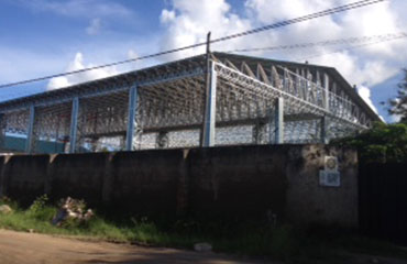 Mama Simba - Warehouse